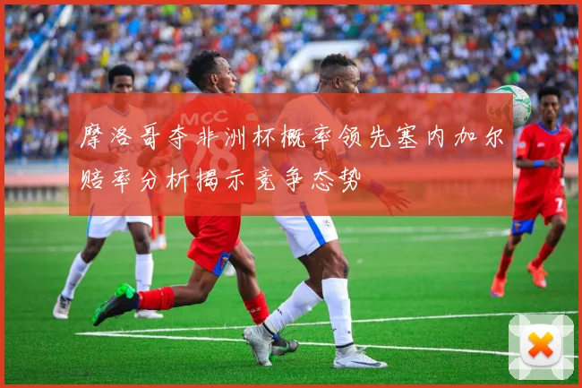 摩洛哥夺非洲杯概率领先塞内加尔赔率分析揭示竞争态势